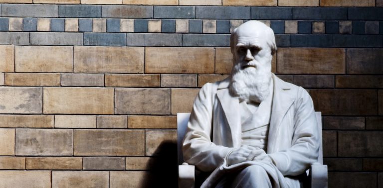 2010-05-12T10-29-25 -- DSC_0179