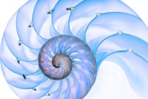 Are Fractal Patterns in Nature and Art Aesthetically Pleasing and Stress-Reducing? 26 Are Fractal Patterns in Nature and Art Aesthetically Pleasing and Stress-Reducing?