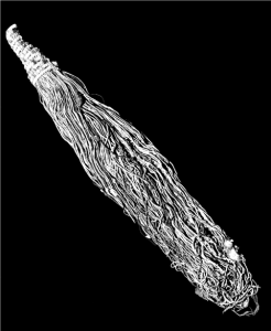 The Twisting Paths of Recall: Khipu (Andean Cord Notation) as Artifact 75 The Twisting Paths of Recall: Khipu (Andean Cord Notation) as Artifact