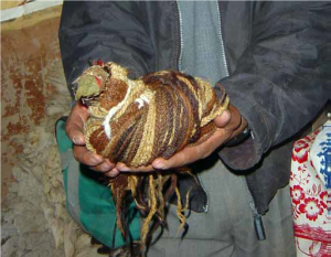 The Twisting Paths of Recall: Khipu (Andean Cord Notation) as Artifact 77 The Twisting Paths of Recall: Khipu (Andean Cord Notation) as Artifact