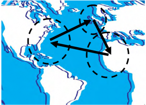 The U.S. System of Constitutional Government 40 The U.S. System of Constitutional Government