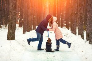 How to Love Mindfully: Just Ask a Dog! 14 How to Love Mindfully: Just Ask a Dog!