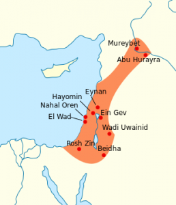 The Prehistory of the World to 8000 BCE 48 The Prehistory of the World to 8000 BCE