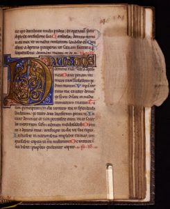 Patterns of Desire in Medieval and Early Modern Manuscripts and Books 40 Patterns of Desire in Medieval and Early Modern Manuscripts and Books