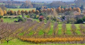 The Power of Compassion with Thich Nhat Hanh 25 The Power of Compassion with Thich Nhat Hanh