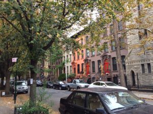 In Search of Ernestine Rose and Elizabeth Cady Stanton 120 In Search of Ernestine Rose and Elizabeth Cady Stanton