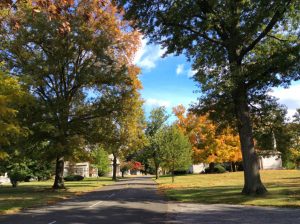 In Search of Ernestine Rose and Elizabeth Cady Stanton 138 In Search of Ernestine Rose and Elizabeth Cady Stanton