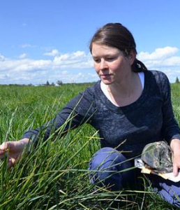 The Rise and Fall of Sourdough: 6,000 Years of Bread