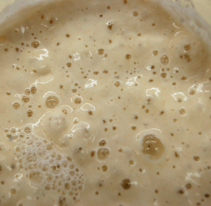 The Rise and Fall of Sourdough: 6,000 Years of Bread