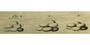 The Rise and Fall of Sourdough: 6,000 Years of Bread