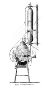 The Rise and Fall of Sourdough: 6,000 Years of Bread