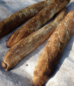 The Rise and Fall of Sourdough: 6,000 Years of Bread