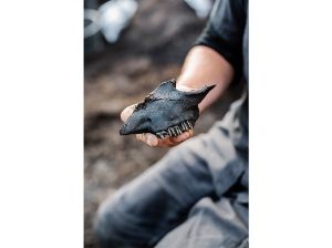 What Happened to the Vikings of Greenland? 63 What Happened to the Vikings of Greenland?