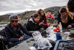 What Happened to the Vikings of Greenland? 66 What Happened to the Vikings of Greenland?