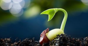 Self-Compassion and Healing the Child Within 28 Self-Compassion and Healing the Child Within