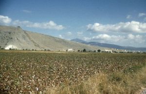 The Story and Labors of Hercules 222 The Story and Labors of Hercules