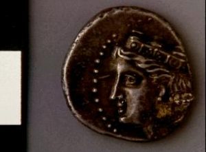 The Story and Labors of Hercules 224 The Story and Labors of Hercules