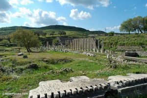 External Conflict in the Greek World, 499-27 BCE