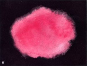 Victorian Occultism and the Art of Synesthesia