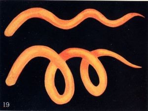 Victorian Occultism and the Art of Synesthesia