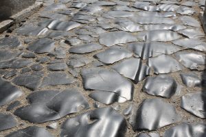 The Seven Plagues of the Ancient Roman City Dweller 29 The Seven Plagues of the Ancient Roman City Dweller