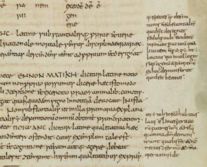 Using the Medieval Book