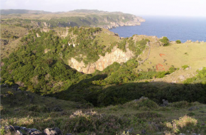 Archaeological Excavations on Itbayat and Siayan Islands 61 Archaeological Excavations on Itbayat and Siayan Islands