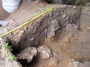 Archaeological Excavations on Itbayat and Siayan Islands 71 Archaeological Excavations on Itbayat and Siayan Islands