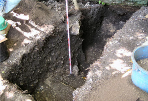 Archaeological Excavations on Itbayat and Siayan Islands 76 Archaeological Excavations on Itbayat and Siayan Islands