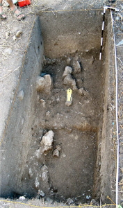 Archaeological Excavations on Itbayat and Siayan Islands 80 Archaeological Excavations on Itbayat and Siayan Islands