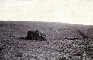 Stuffed Ox, Dummy Tree, Artificial Rock: Deception in the Work of Richard and Cherry Kearton 46 Stuffed Ox, Dummy Tree, Artificial Rock: Deception in the Work of Richard and Cherry Kearton