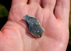 Sieving the Mesolithic 40 Sieving the Mesolithic
