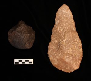 Brain-Imaging Modern People Making Stone Age Tools Hints at Evolution of Human Intelligence