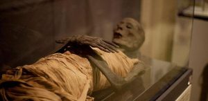 First Complete Genome Data Extracted from Ancient Egyptian Mummies 191 060317-07