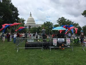 Annual March against Same-Sex Marriage Numbers in the Thous....Hund....Okay, Tens of Tens!