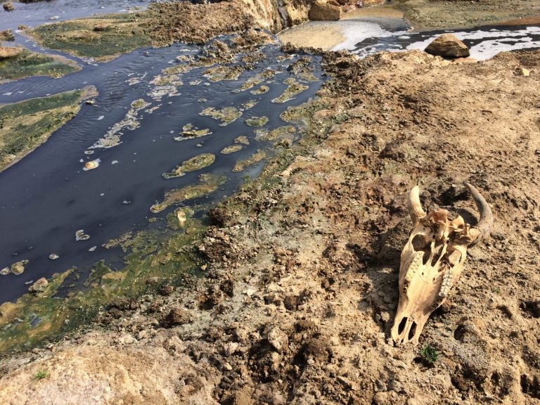 062117-02-Big-Pharma-Superbugs