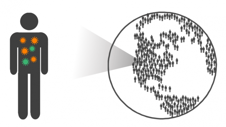 062817-10-Flu-Health-Biology