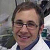 How the Flu Changes within the Body May Hint at Future Global Trends 19 How the Flu Changes within the Body May Hint at Future Global Trends