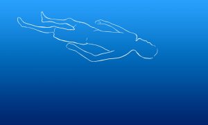 What Can Avicenna Teach Us about the Mind-Body Problem? 14 What Can Avicenna Teach Us about the Mind-Body Problem?