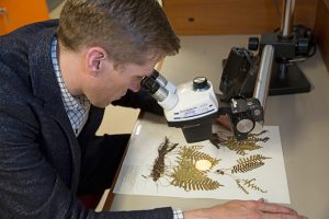 On Thoreau's 200th Birthday, a Gift for Botany