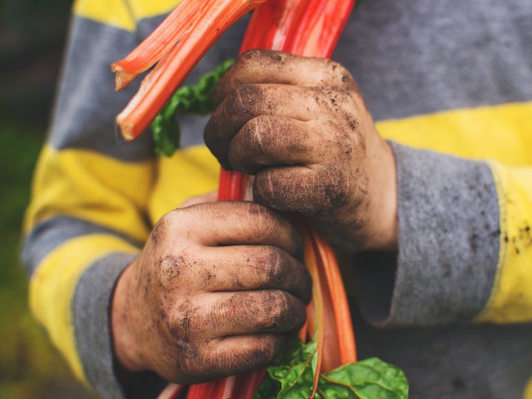 071617-04-Antibiotics