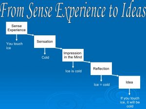 Simple Ideas in John Locke's 'Essay Concerning Human Understanding' 21 Simple Ideas in John Locke's 'Essay Concerning Human Understanding'