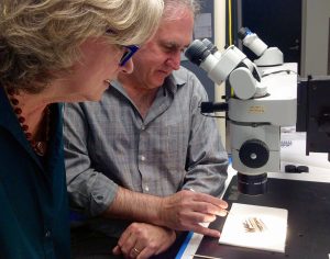 The Art and Technique of Etruscan Jewelry 29 The Art and Technique of Etruscan Jewelry