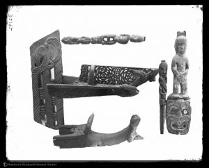 Paikea at the American Museum of Natural History