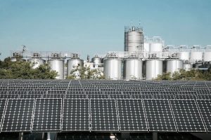 Beer is the Greenest Beverage 16 Beer is the Greenest Beverage