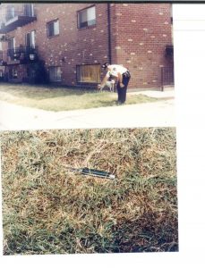 What Does an Innocent Man Have to Do to Go Free? Plead Guilty.