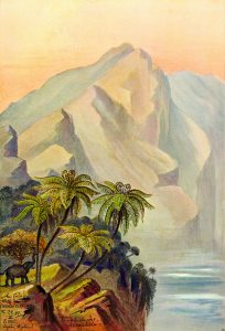 Human Forms in Nature: Ernst Haeckel’s Trip to South Asia and Its Aftermath 29 Human Forms in Nature: Ernst Haeckel’s Trip to South Asia and Its Aftermath