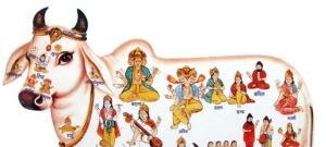 India's Supreme Court Orders Government to Stop "Cow Protection" Attacks 3 India's Supreme Court Orders Government to Stop "Cow Protection" Attacks