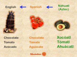 An Overview of the History of Latino and Latin American Identity 44 An Overview of the History of Latino and Latin American Identity
