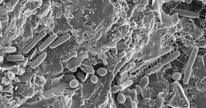 Why and How to Let Go of Fear